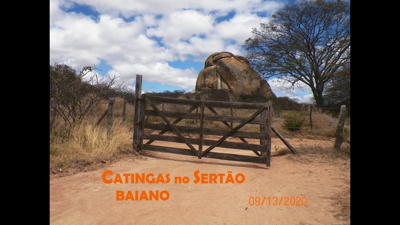PAISAGENS DA NOSSA REGIÃO - Sertão Baiano