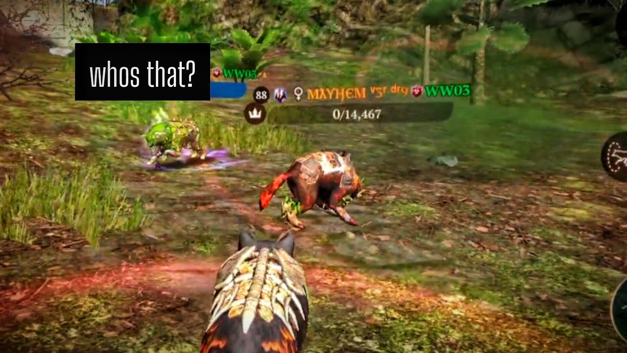 The Wolf - War with Ww03 with a Ww03 Team mate | Null presence