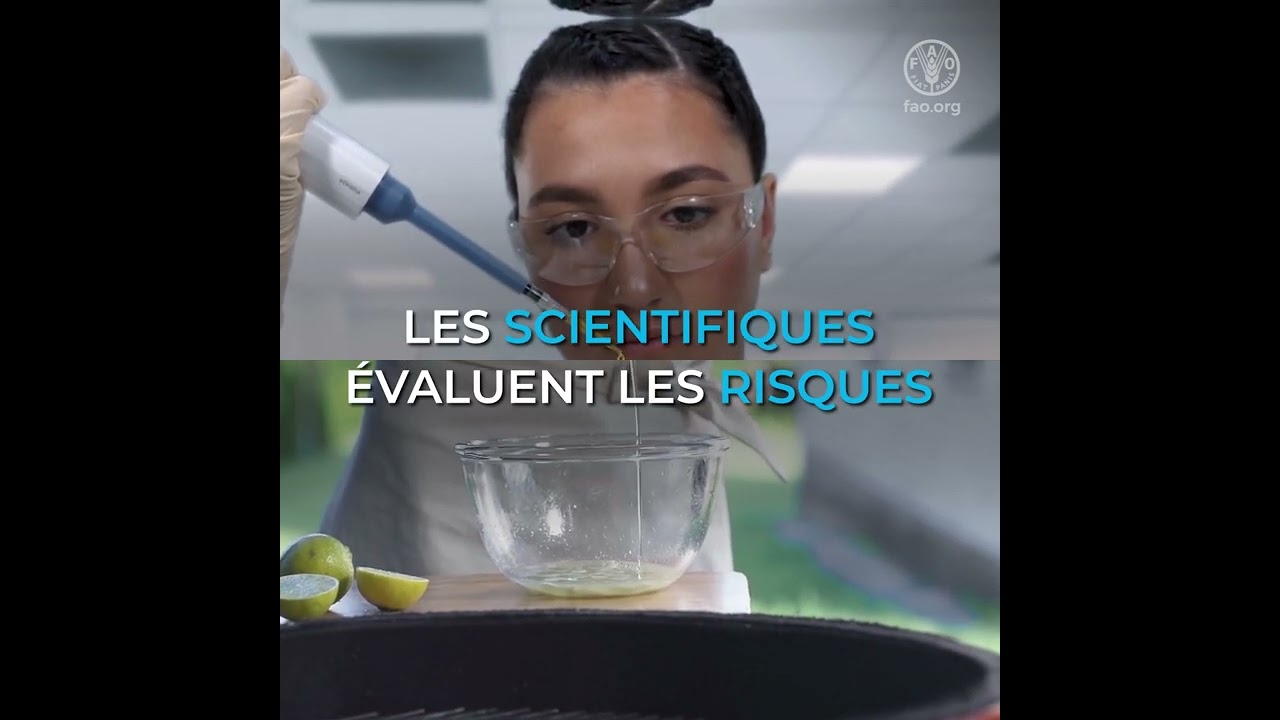 Que sont les normes alimentaires et pourquoi sont-elles importantes?