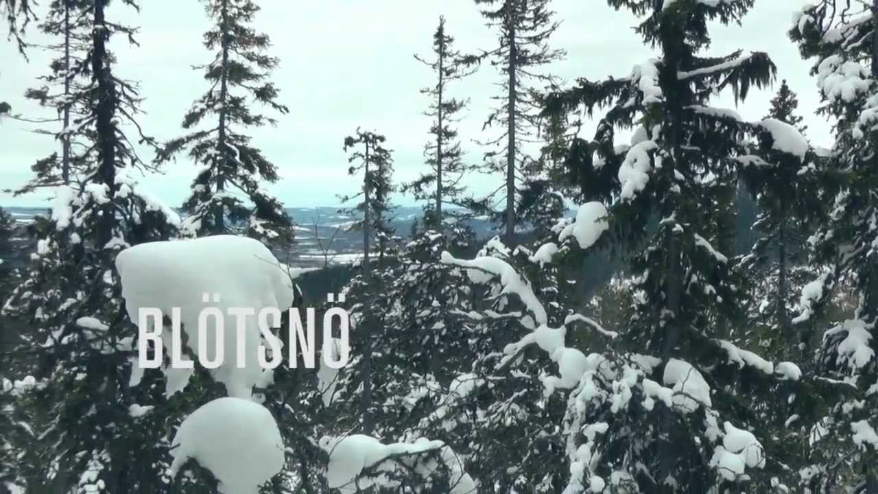 Bl&ouml;tsn&ouml; - Som puder, fast s&auml;mre!