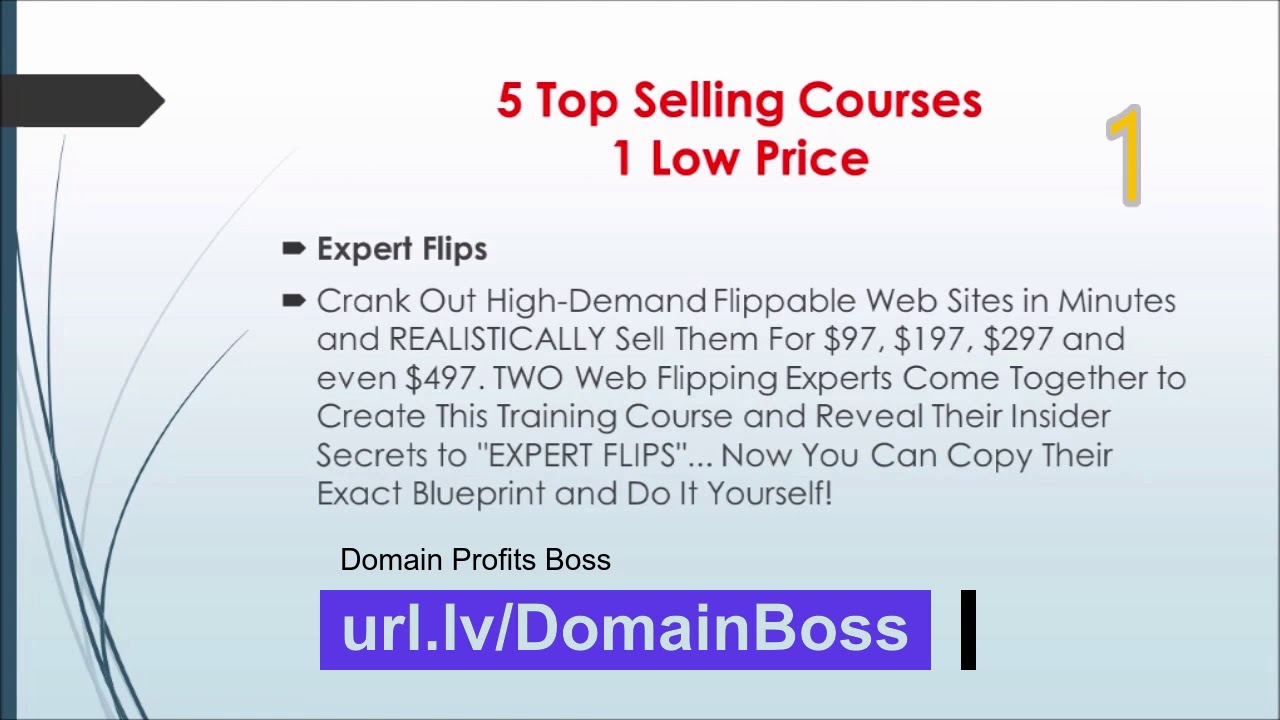 Doman Profit Boss - Tips for Domain & Website Flipping
