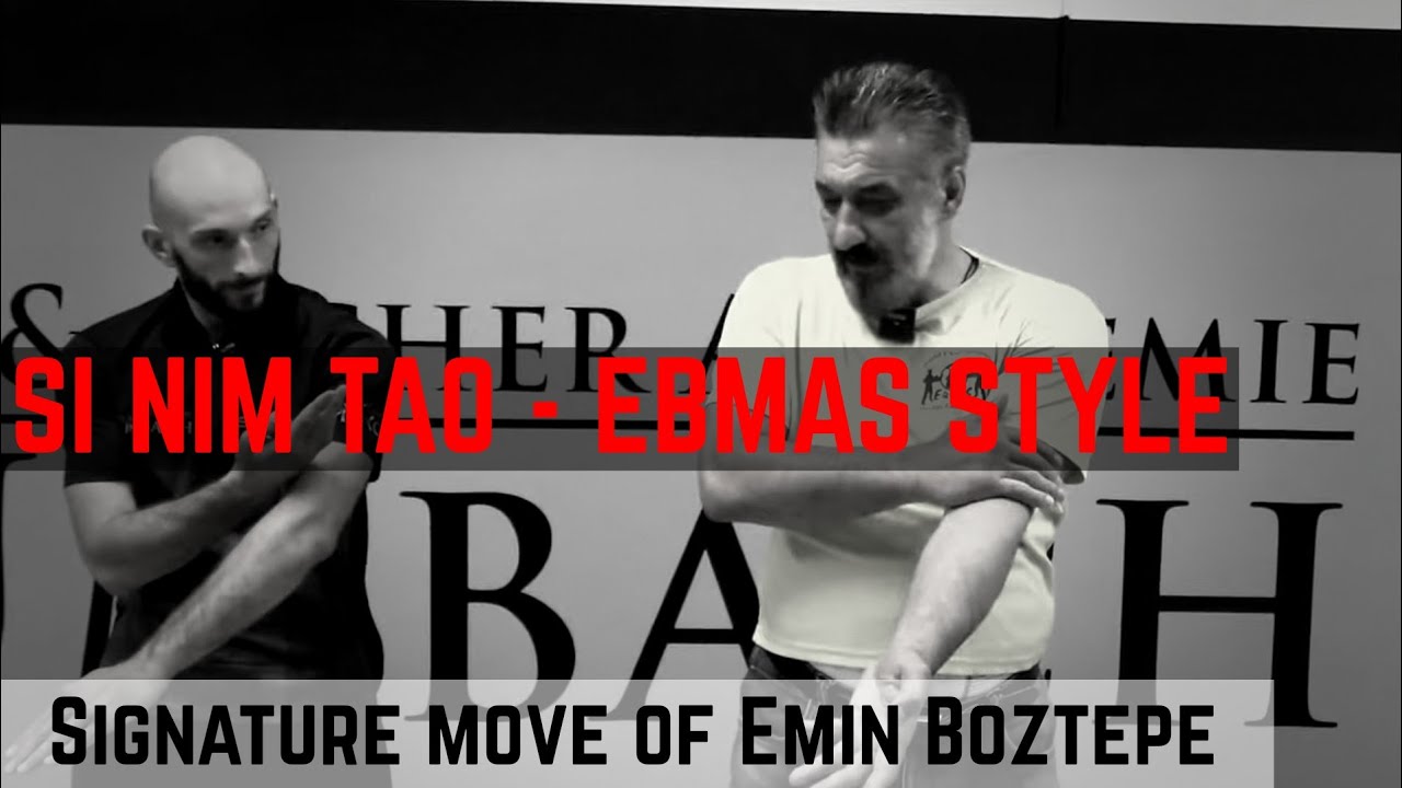 EBMAS SI NIM TAO Erklärt | Signature Move of Dai Sifu Emin Boztepe