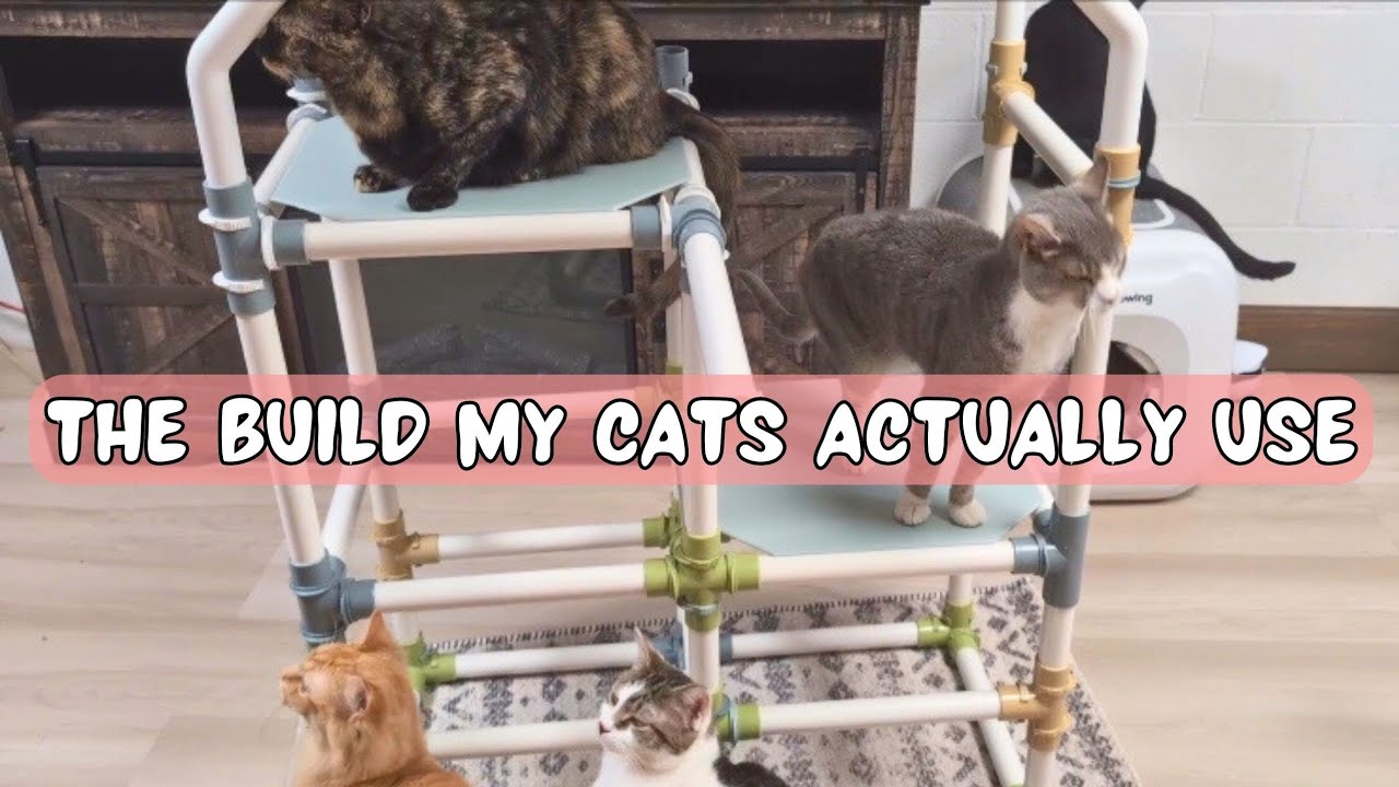 Tubelox Deluxe Set Build for Cats | Modular Cat Structure (Full Build)
