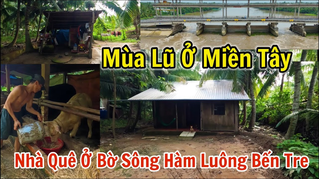 Cống ngăn mặn xả lũ v&agrave; cuộc sống người d&acirc;n miền t&acirc;y ở bờ s&ocirc;ng H&agrave;m Lu&ocirc;ng Bến Tre.