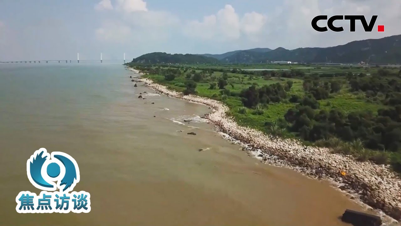 供水仅需3天！这些工程让珠三角地区枯水期“有水喝”，缺水的澳门就这样迎来了千里清流  | CCTV「焦点访谈」20241122