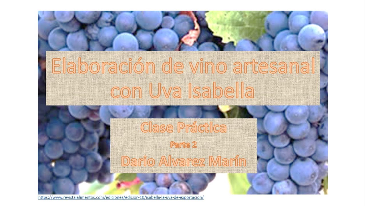 Parte 2. Elaboración de vino artesanal con Uva Isabella (Práctico)