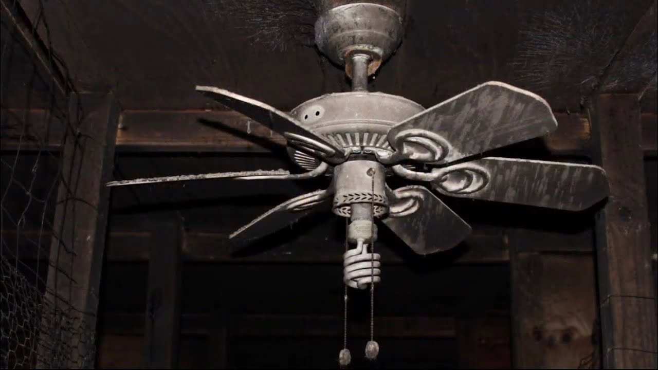 Abused ceiling fans (3rd Anniversary special)