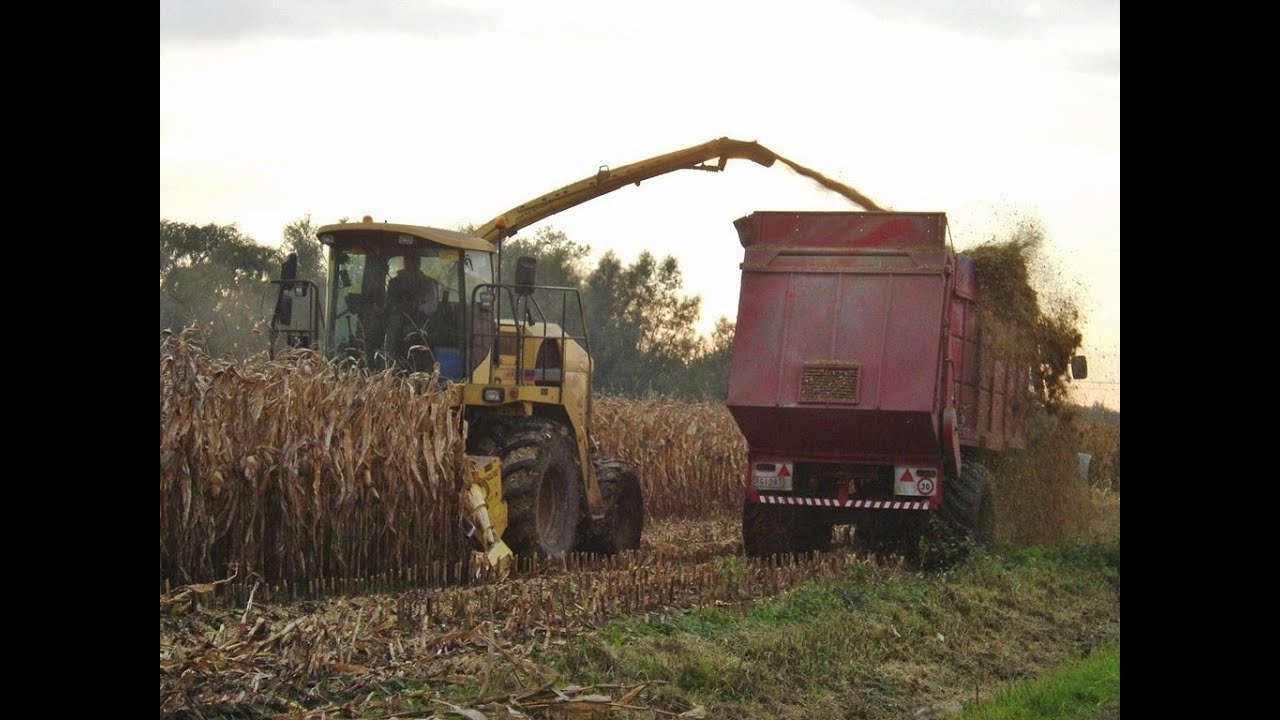 Loonw. Vermeulen-Vandoorne - Oostnieuwkerke - New Holland FX 38 - New Holland TM 190 - TM 125