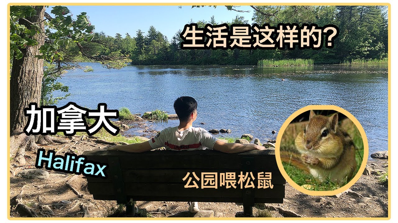 在加拿大的生活到底怎樣？| 加拿大Halifax | Zander 明