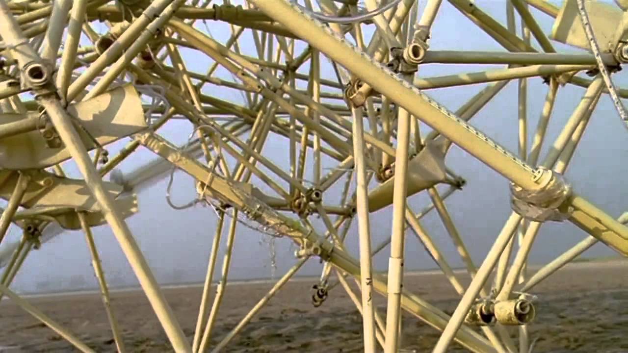 Ukulollo - Strandbeest