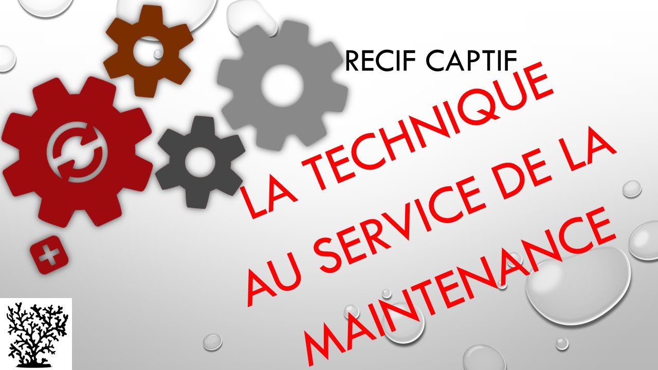 Technique au service de la maintenance - Mr Recif Captif #50
