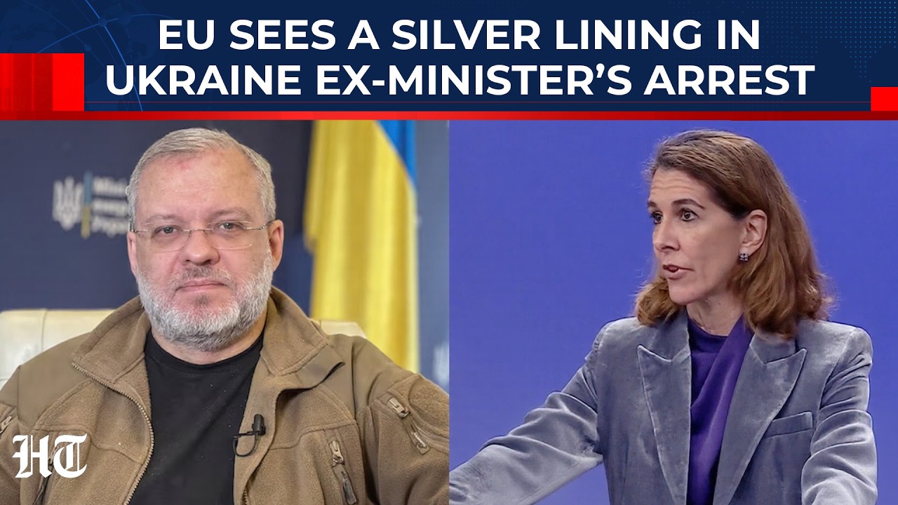 Why EU Sees Arrest Of Ex-Ukraine Energy Minister As A Positive Step | Top Official Explains