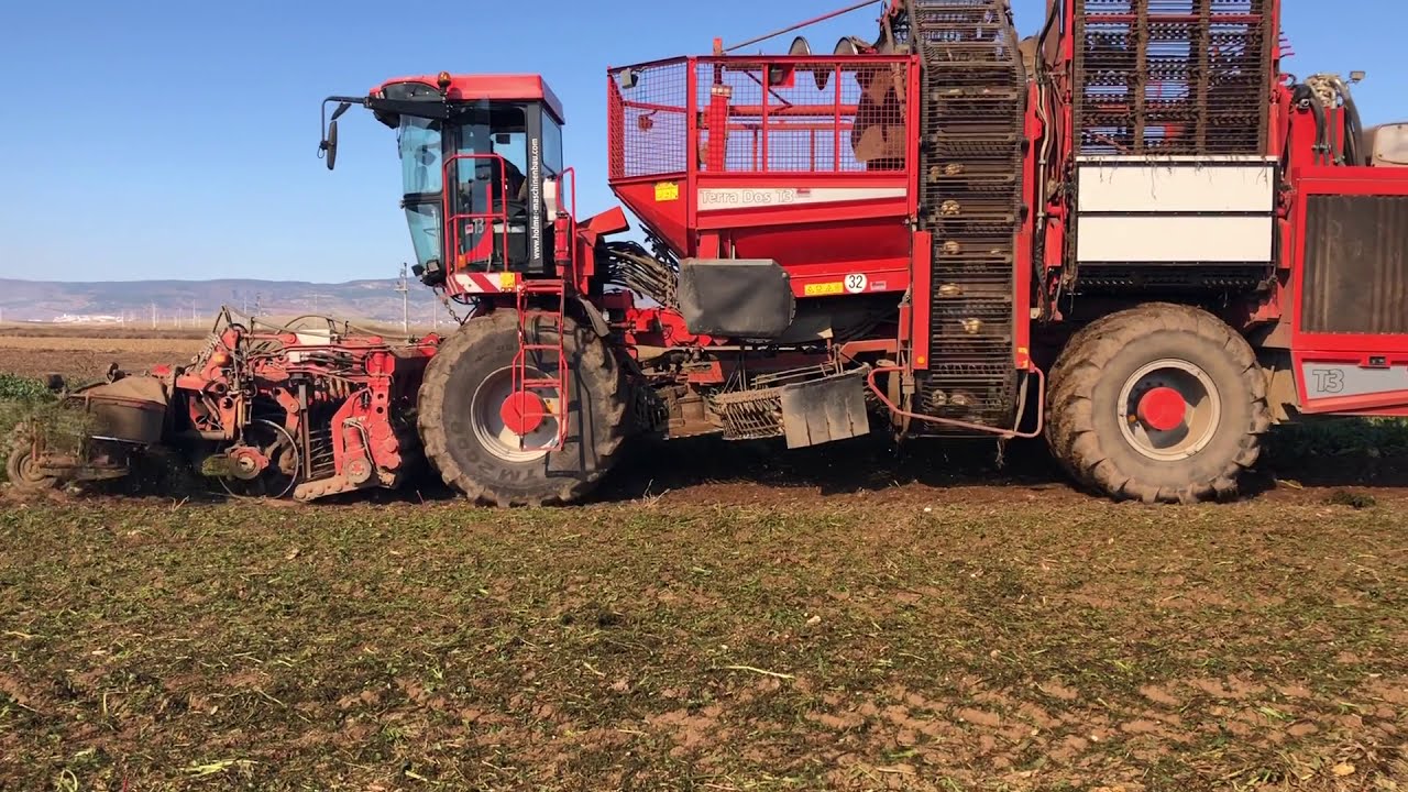 Holmer Terra Dos T3 Şeker Pancarı Hasadı