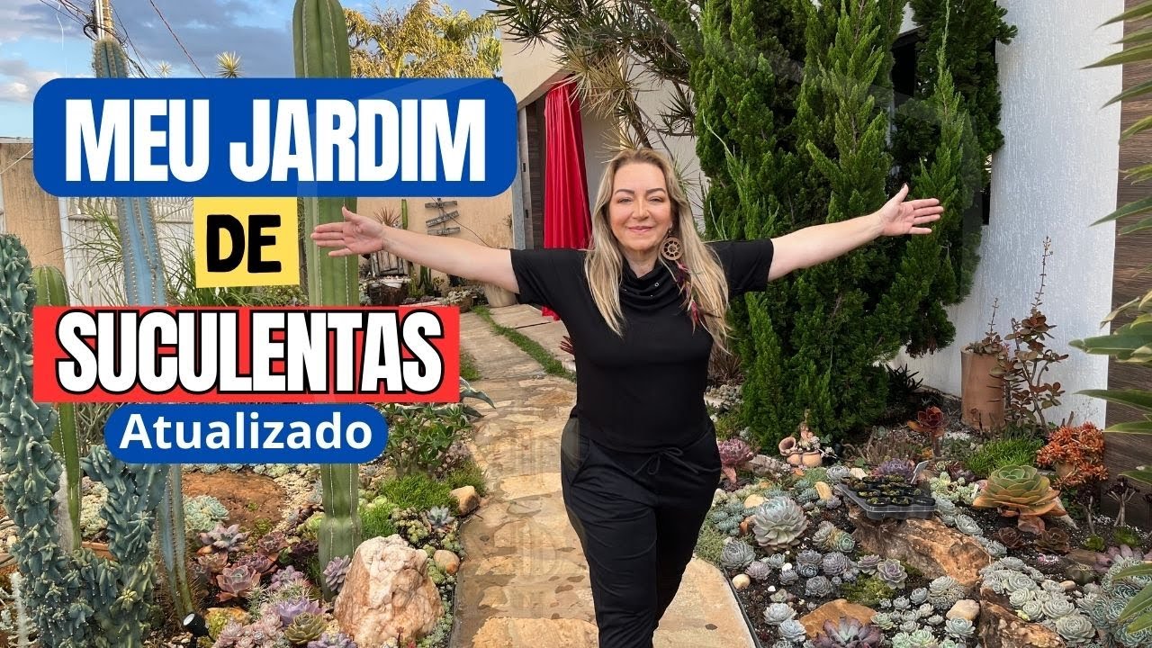 Jardim de cactos e suculentas - Atualização parte 1