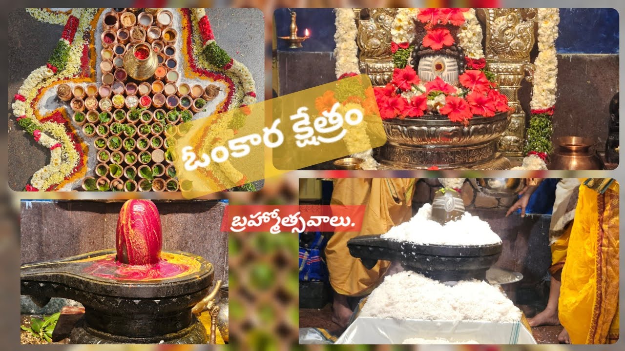 శివరాత్రి బ్రహ్మోత్సవాల్లో భాగంగా రెండవ రోజు.. కార్యక్రమాలు, ఓంకార క్షేత్రం, దమ్మయిగుడ.