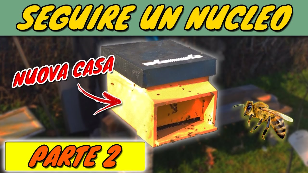 Apicoltura 2021 | TRASFERIAMO le API in una NUOVA ARNIA | SEGUIRE UN NUCLEO #2 🐝