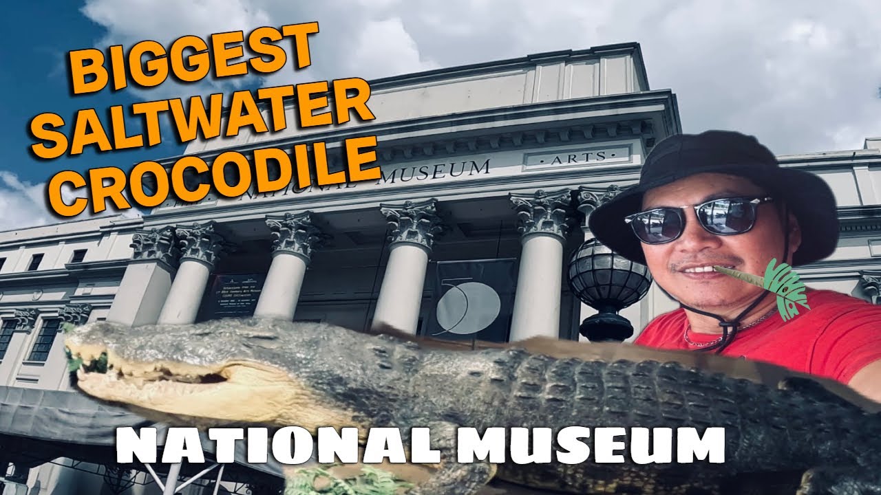 Exploring the National Museum na may Pinakamalaking Saltwater Crocodile