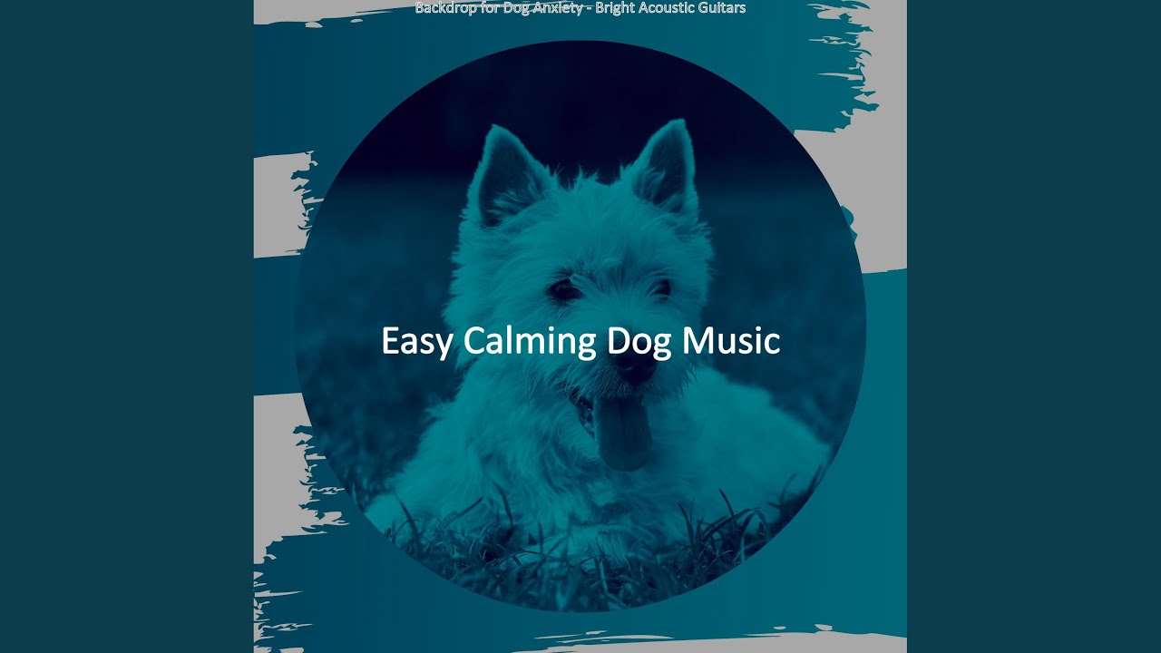 Retro Music for Relaxing Dogs