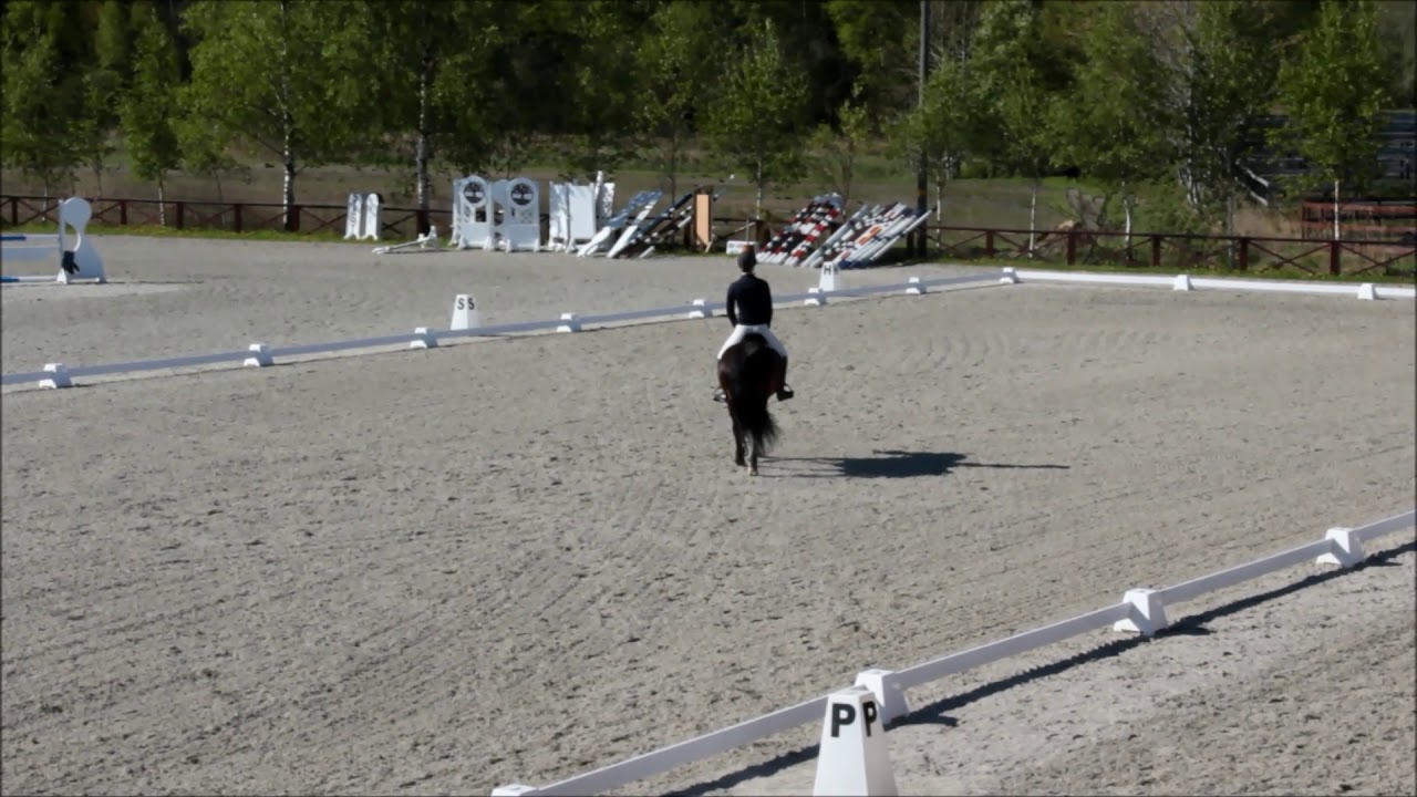 3 plass LC3 dressur AGR 12 05 19