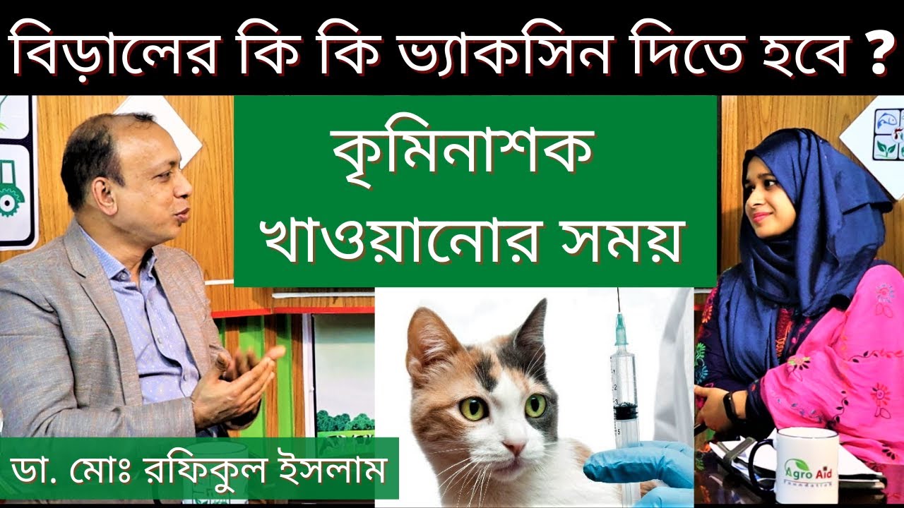 বিড়ালের ভ্যাকসিন দেয়া | কৃমিনাশক খাওয়ানোর সময় | Cat vaccination and deworming | ডা. মোঃ রফিকুল ইসলাম