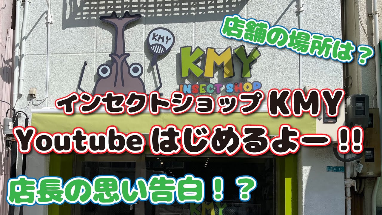 店舗紹介　インセクトショップKMY始まるよー！！