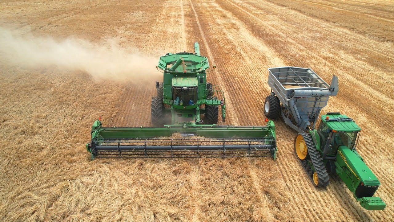 Bashing Out Barley & Bagging It | Harvest, Australia 2022
