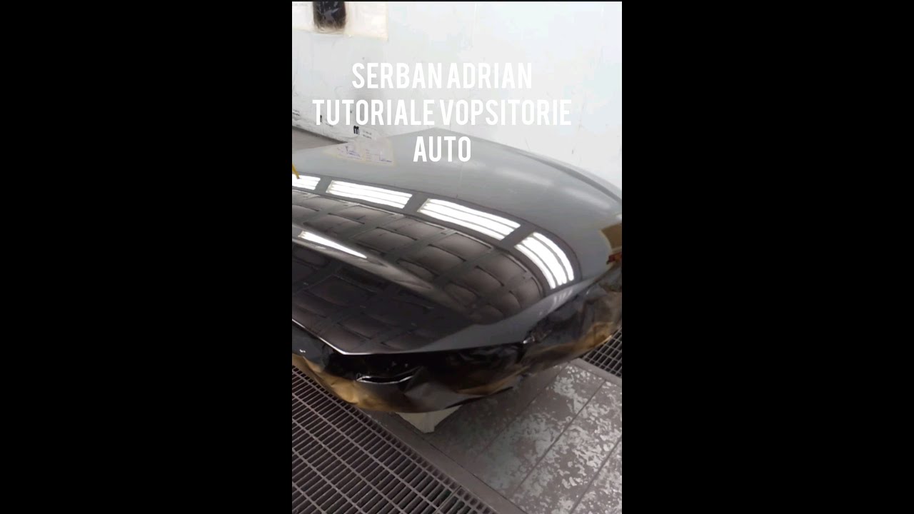 Vopsitorie auto Noțiuni de baza. Reglaj pistol, aplicare vopsea, aplicare lac.