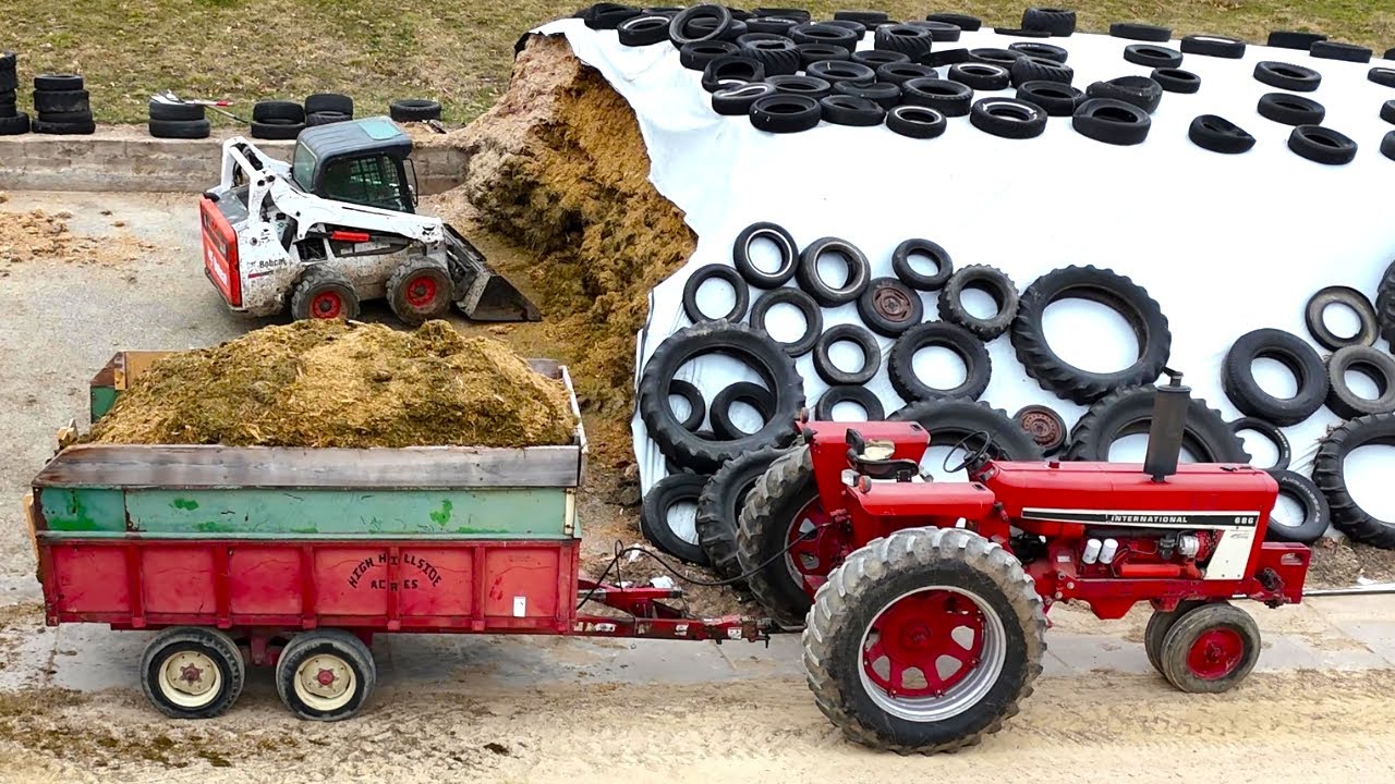 Feeding Cows Silage and Baled Hay! Dairy Farming In America!