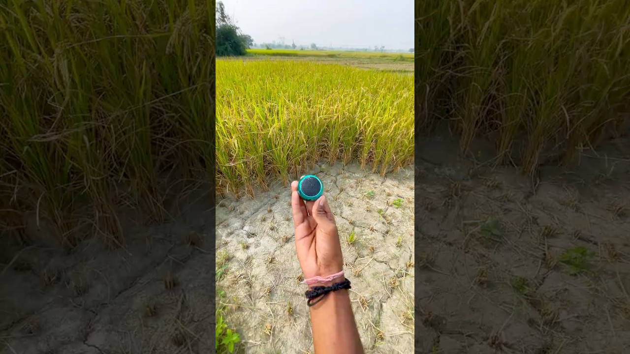 Mini speaker super test