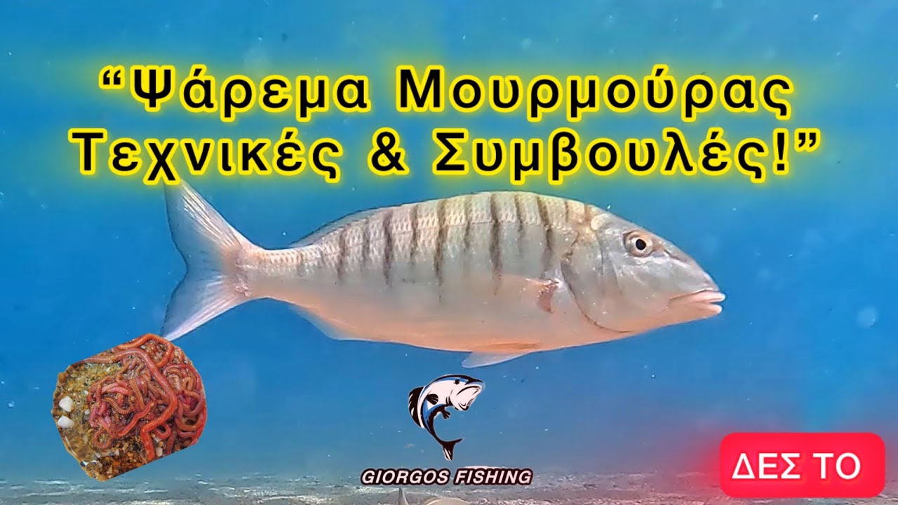 ΒΡΕΣ ΤΙΣ ΜΟΥΡΜΟΥΡΕΣ ΕΔΩ – Τεχνικές & Δολώματα για Σίγουρη Επιτυχία
