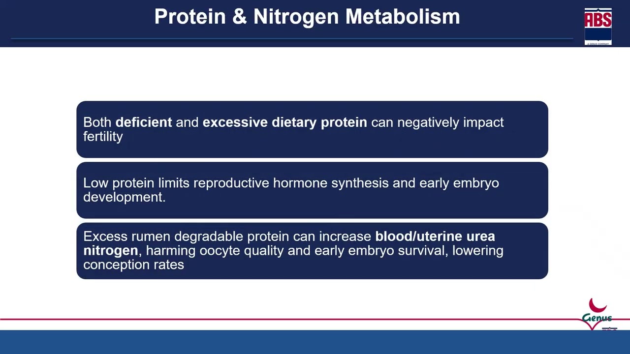 Nutritional Causes of Infertility in Cattle | Expert Guidance by Dr. Mishul Chauhan