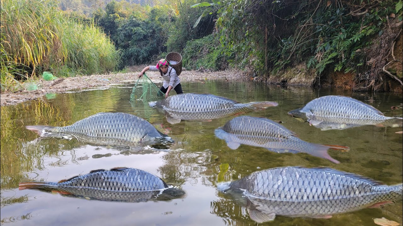 Full video: 365 days to catch fish with your daughter. Traditional fish trap skills.catch giant fish
