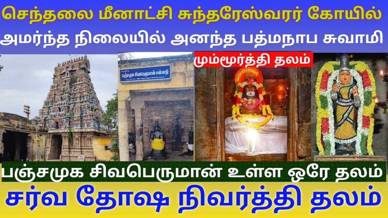 செந்தலை மீனாட்சி சுந்தரேஸ்வரர் திருக்கோயில் |  சர்வ தோஷ நிவர்த்தி ஸ்தலம் | சந்திரலேகை வழிபட்ட தலம்