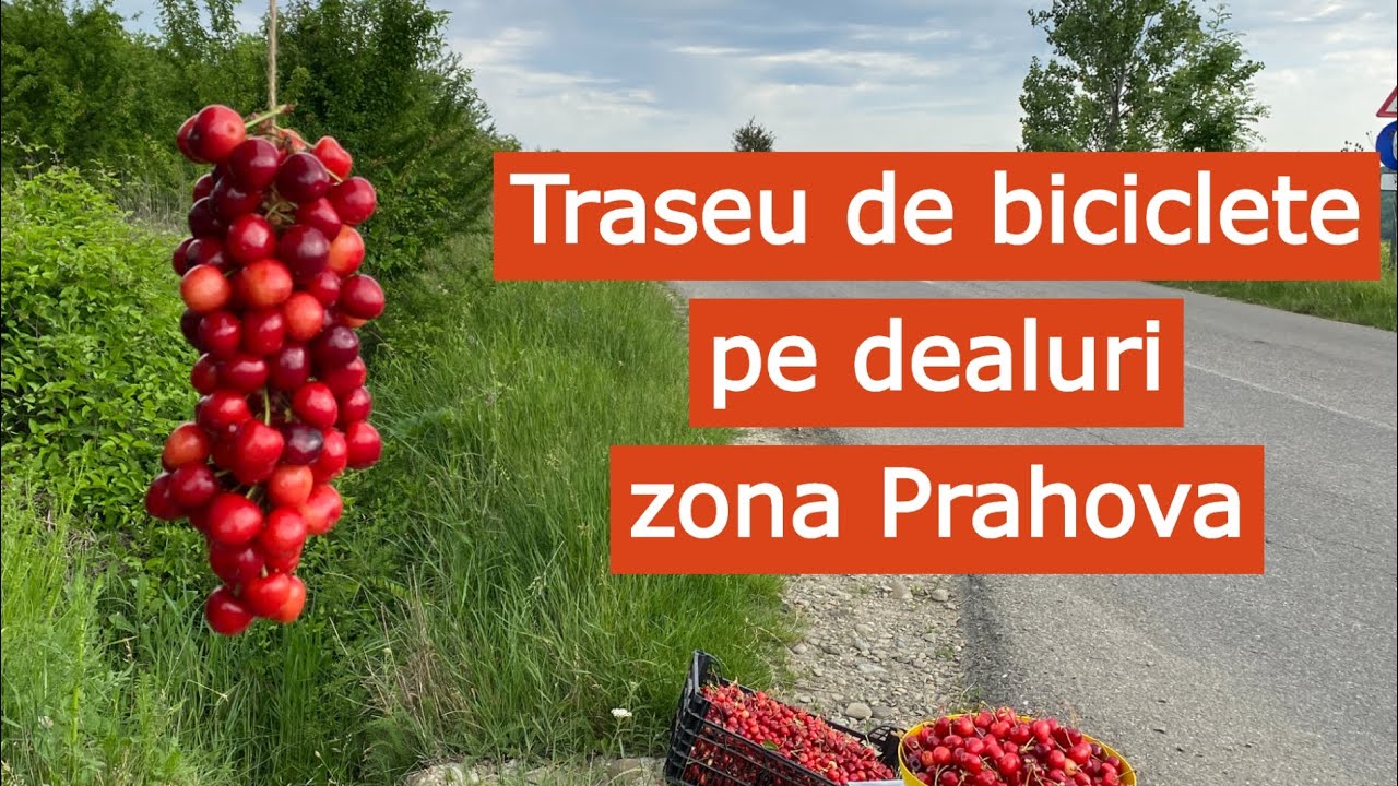 Traseu de bicicleta pe dealuri - zona Prahova