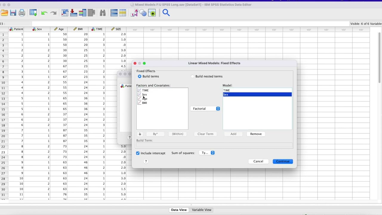 Linear Mixed Methods on SPSS