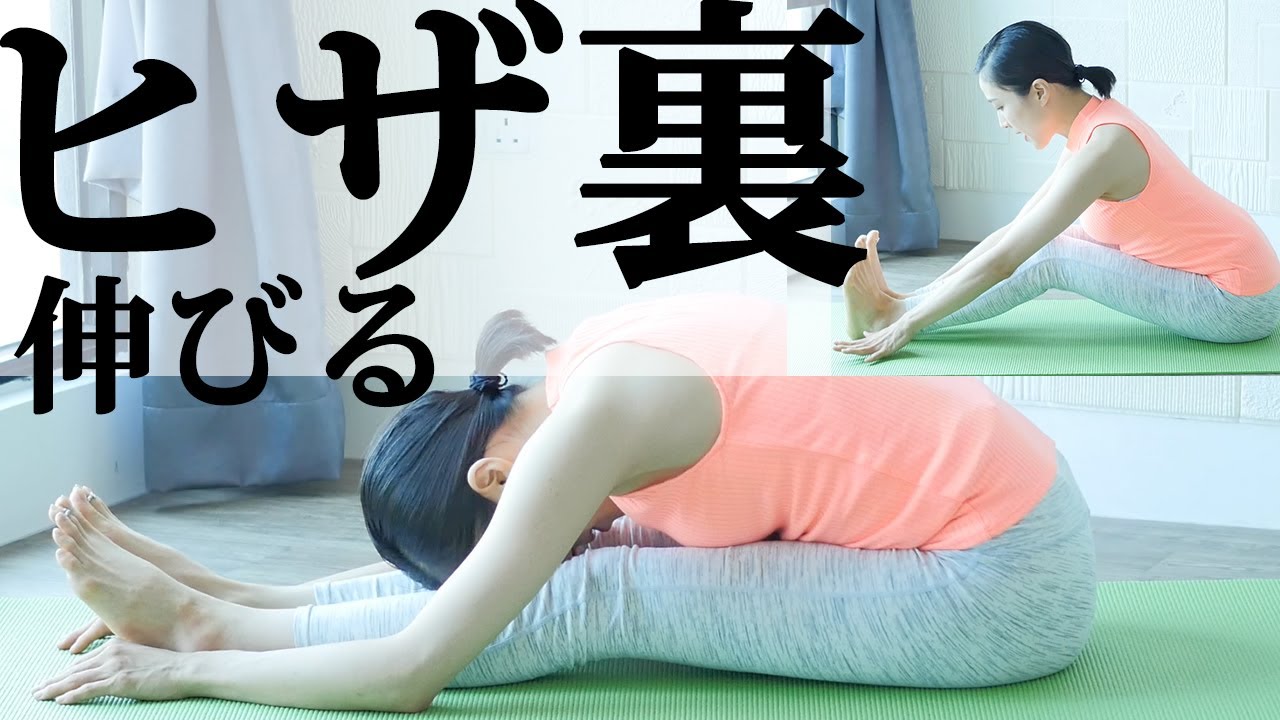 【ヒザ裏ふくらはぎが硬い】脚が硬くなってしまう方の為の前屈を楽にするヒント！みるみる柔らかくなる！パーツ別★時短ヨガシリーズヨガ⑥#238