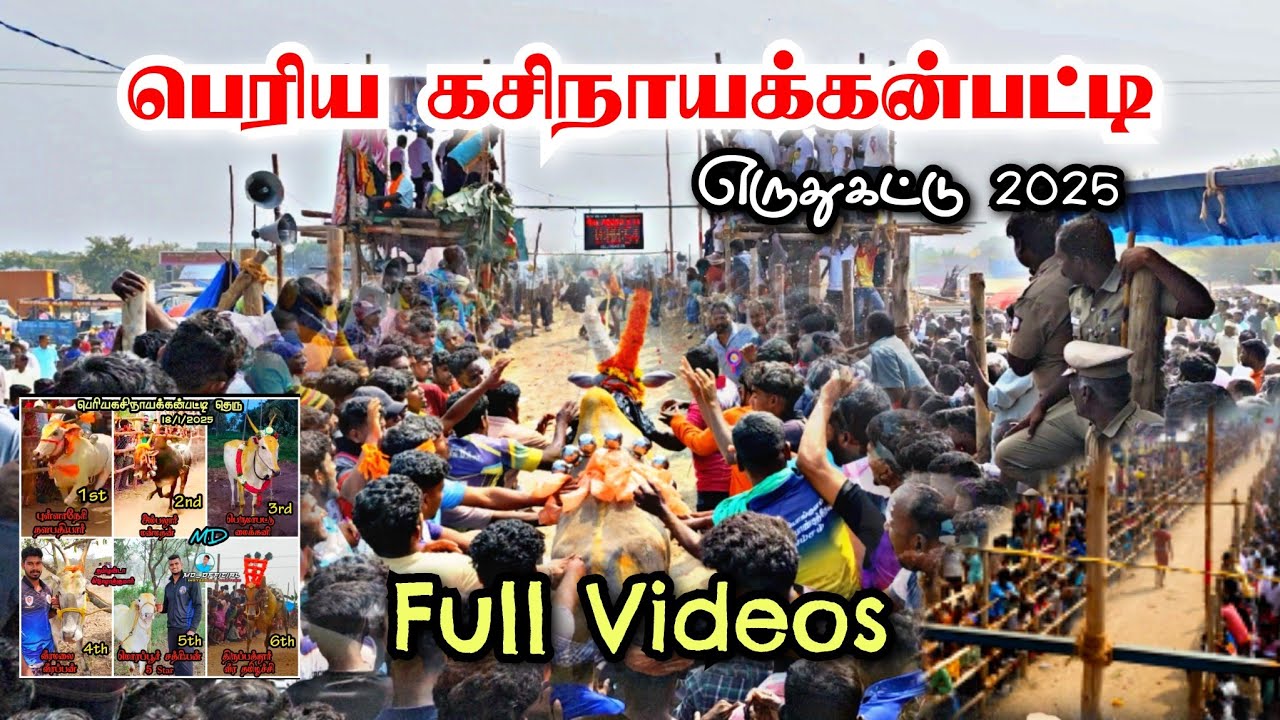 பெரிய கசிநாயக்கன்பட்டி எருதுகட்டு 2025 Full Video | Kasinayakkanpatti 2025 #tirupattur #eruthukattu