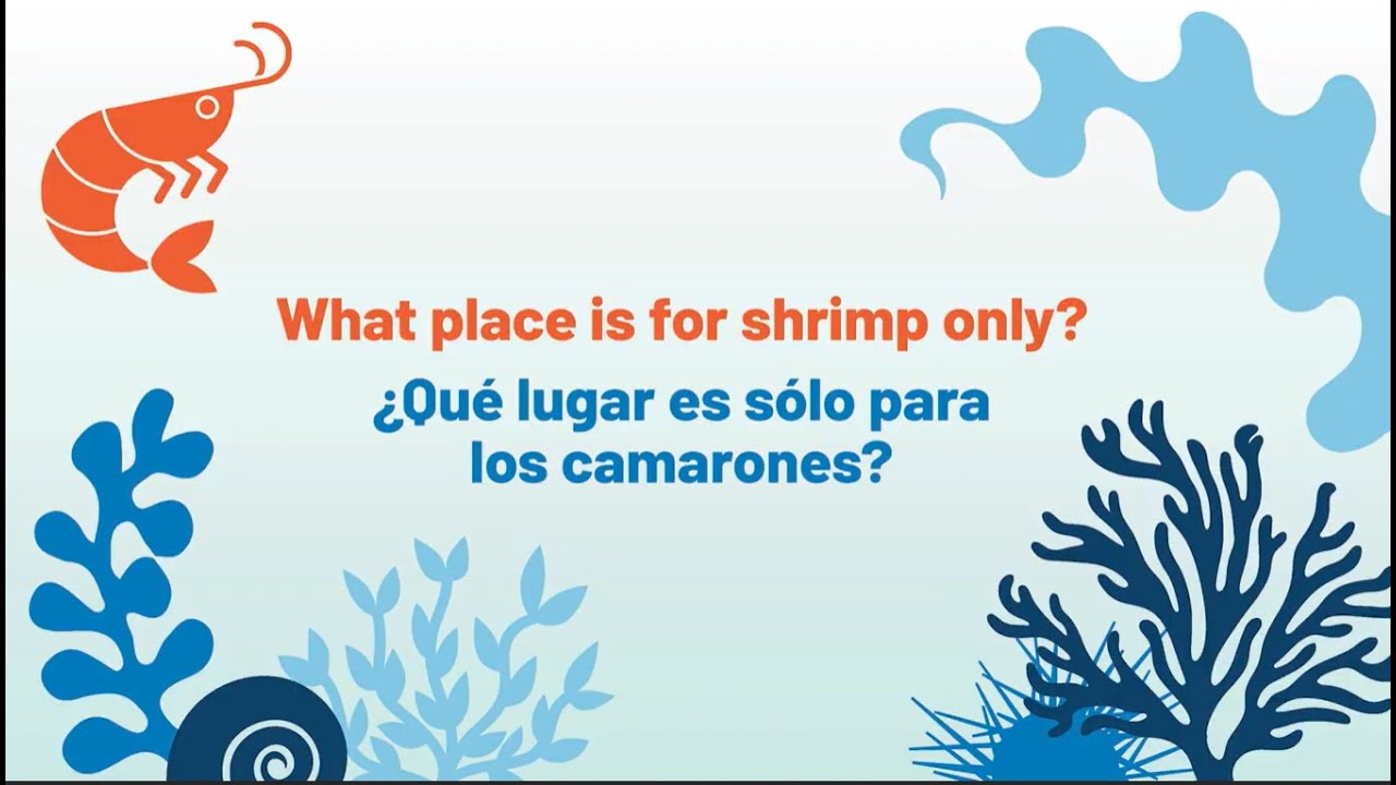 What Place Is for Shrimp Only?