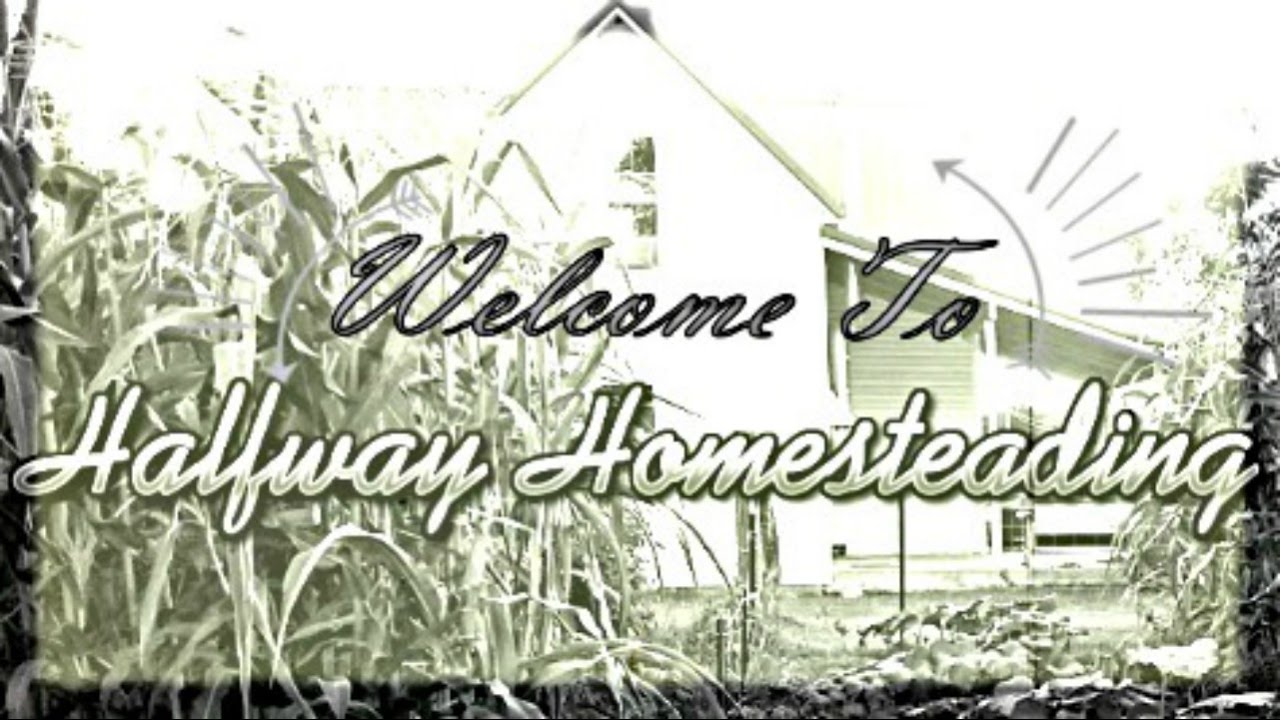 The Halfway Homesteading Channel HD [Official Trailer]