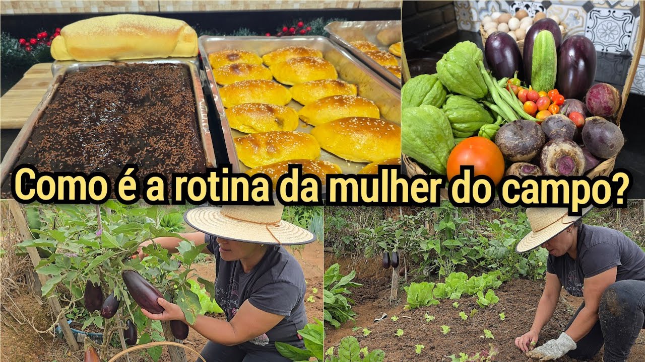 FIZ PÃO DE MILHO+BOLO DE CHOCOLATE+COLHEITA FARTA+TENTANDO MANTER A HORTA EM ORDEM.