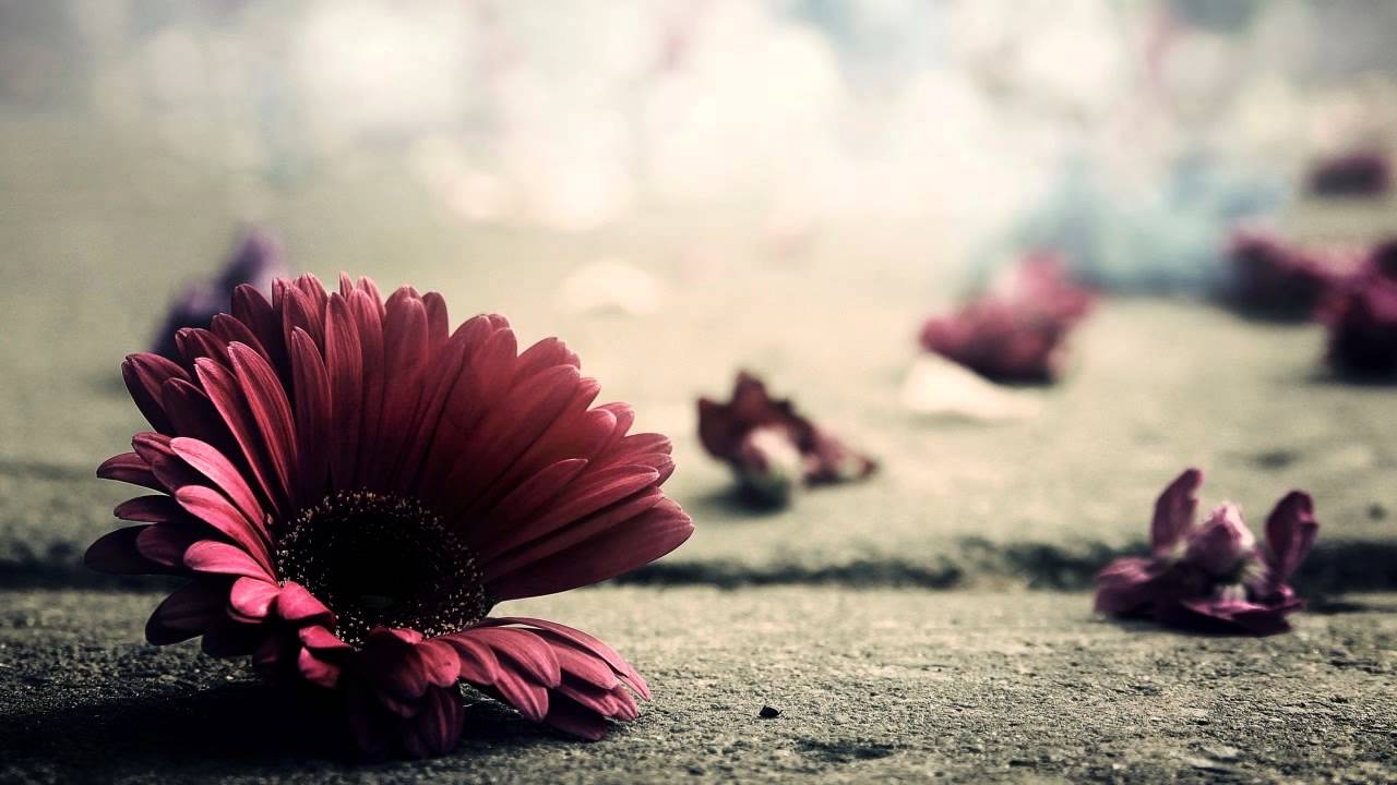 Emily Underhill - Lost In Me (Splinter's eMotion Picture Remix)