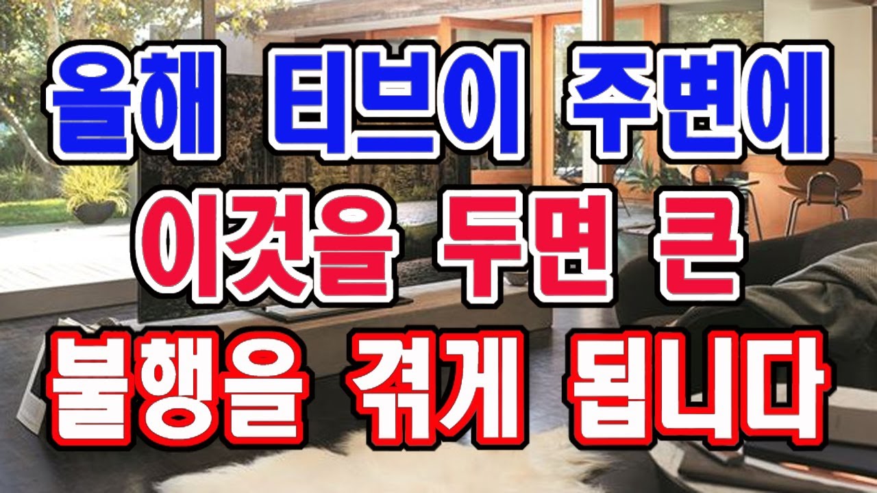 올해는 TV 주변에 절대 이것은 두지 마세요. 큰 불행이 생길 수 있습니다.