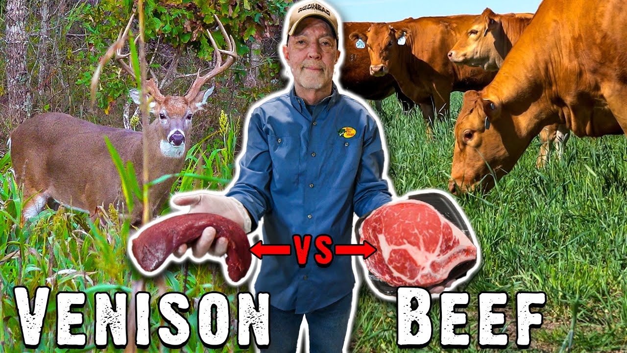 Wild Deer Meat vs Store Beef: The Truth