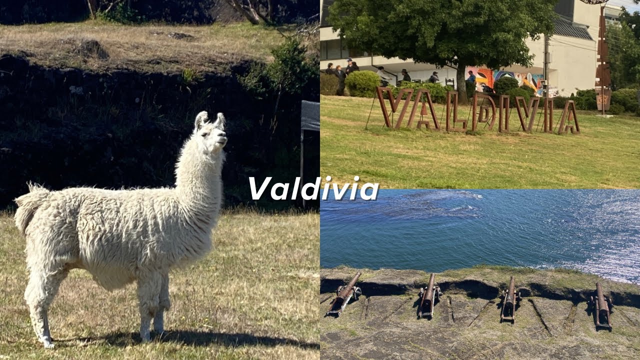 Valdivia, Fuerte niebla y más🚗🦭| Trip Vlog