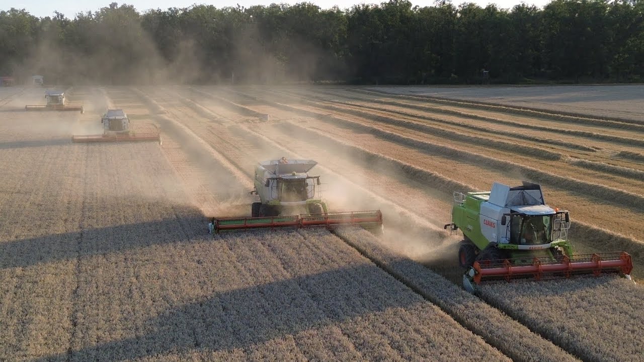 🔥13 Kombajnów VS 1700 Hektarów🔥Karolew 2025🔥Agroplus Grześkowiak, Juragro, Agro Malesz, Rol-Tom 