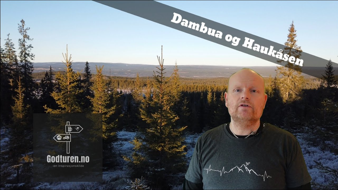 Dambua og Haukåsen