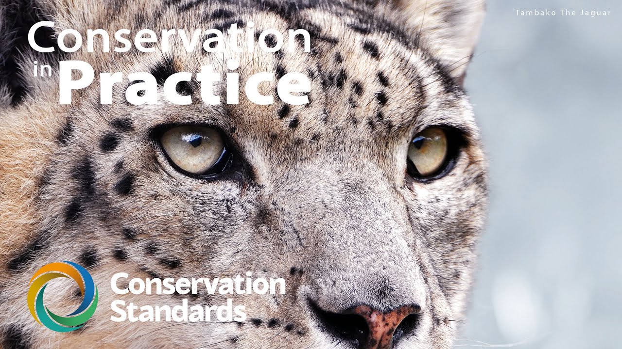 WWF & TNC Mongolia | Testimonial