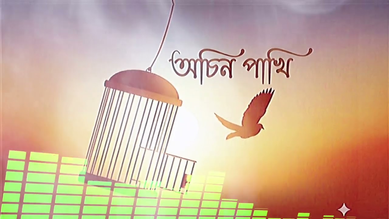 Ochin Pakhi । অচিন পাখি 