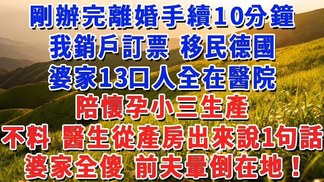 剛辦完離婚手續10分鐘，我銷戶訂票 移民德國，婆家13口人全在醫院，陪懷孕小三生產，不料 醫生從產房出來說1句話，婆家全傻 前夫暈倒在地！#小娟講故事 #情感故事 #老年生活
