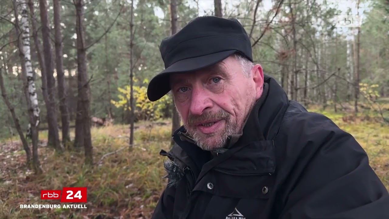 Der vergessene Friedhof der Zwangsarbeiter